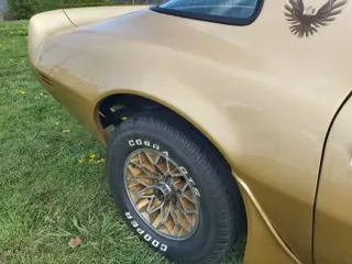 1979 Pontiac Trans am — photo 3