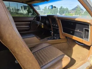 1973 Ford Mustang Mach1 gold — photo 14