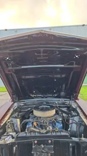 1969 Ford Mustang Mach1 — photo 7