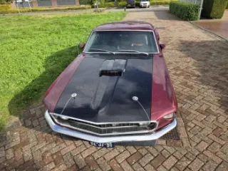 1969 Ford Mustang Mach1 — photo 5