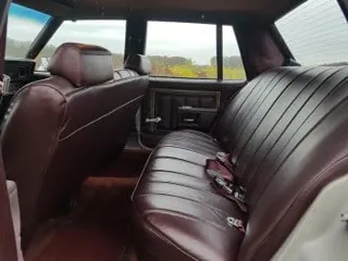 1980 Chevrolet Impala — photo 19