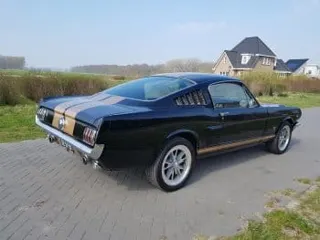 1965 Ford Mustang rent a hertz — photo 11