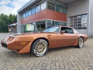 1980 Pontiac Trans Am — photo 1