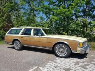 1979 Chevrolet Caprice wagon — photo 11