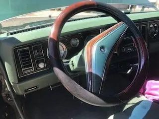 1977 Buick Electra — photo 27