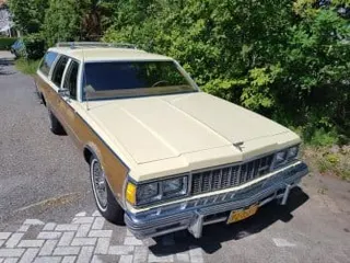 1979 Chevrolet Caprice wagon — photo 14