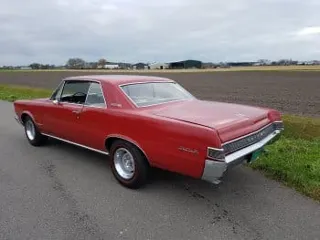 1965 Pontiac GTO Royal Bobcat — photo 26