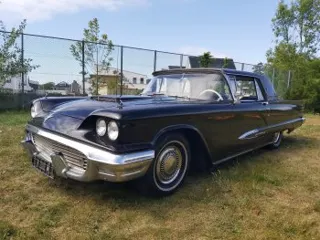 1959 Ford Thunderbird — photo 15