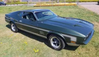 1971 Ford Mustang Mach1 — photo 16