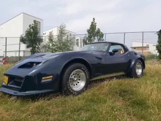 1979 Chevrolet Corvette Daytona — photo 16
