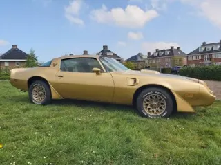 1979 Pontiac Trans am — photo 5