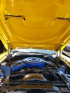 1971 Ford Mustang Mach1 — photo 22