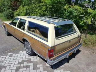 1979 Chevrolet Caprice wagon — photo 9