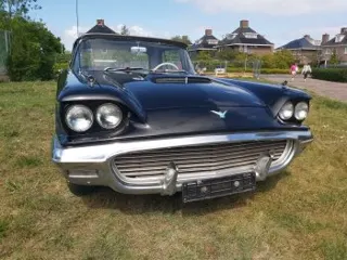 1959 Ford Thunderbird — photo 20