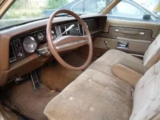 1977 Buick Electra — photo 3