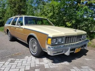 1979 Chevrolet Caprice wagon — photo 15