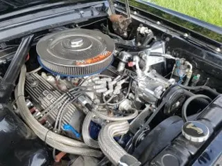 1965 Ford Mustang Cobra GT350 — photo 28