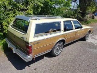 1979 Chevrolet Caprice wagon — photo 19