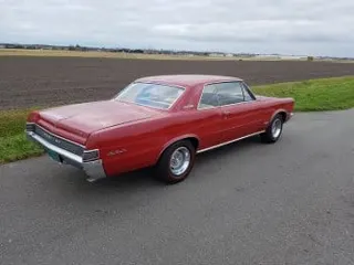 1965 Pontiac GTO Royal Bobcat — photo 15